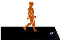 步態壓力分布測 步態壓力分布測(cè)